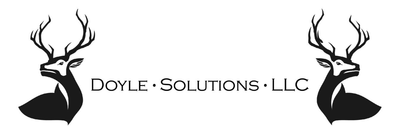 Doyle Solutions LLC